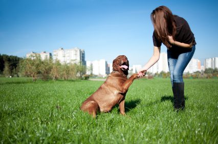 Dating Humor: Walking The Dog